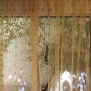 κουρτίνα διάφανη οργάντζα χρυσή με μικρό σχέδιο και διαστάσεις 1,00 χ 2,48 ύψος