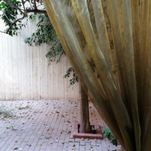 κουρτίνα διάφανη γκοφρέ λαδί-χρυσό με διάσταση 2,00 χ 2,45 ύψος