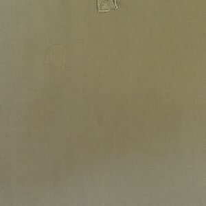 Ύφασμα από διπλή οργάντζα σε λαδί απόχρωση με κέντημα λουλούδι και φάρδος τοπιού 2,80 μέτρα φαρδος.